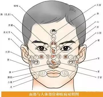 脸部变化会观察,言语重点善摸抓是什么生肖请全面释义、解释与落实、实时解答解释落实