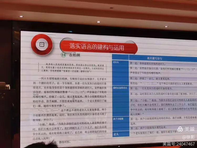 别无出路打一正确的生肖,警惕虚假宣传落实,前沿解答解释落实